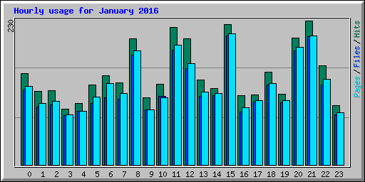 Hourly usage for January 2016