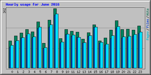 Hourly usage for June 2016