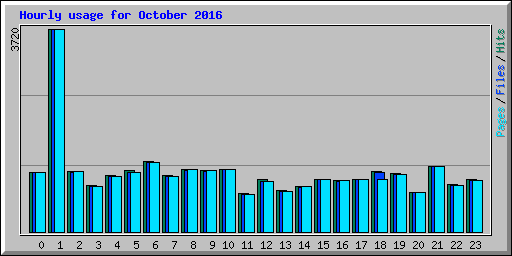 Hourly usage for October 2016