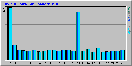 Hourly usage for December 2016