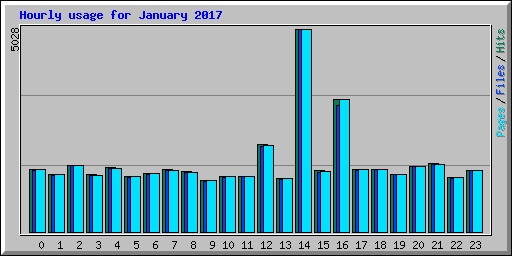Hourly usage for January 2017